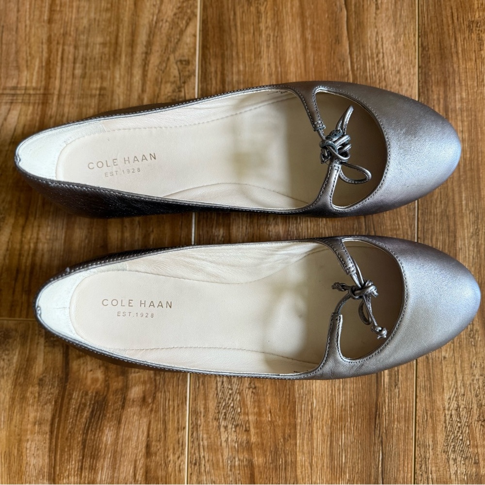 Elegant Metallic Ballet Flats with bow - Picture 3 of 8